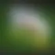 Zagraj Let It Ride z Playtech w {"id":8,"name":"BetOnRed","design":{"logo":"bet-on-red-logo.5F8sFc.svg","favicon":"bet-on-red-favicon.CTvutL.png","banner_poker":"betonred-poker.VPJfGT.webp","banner_mobile":"betonred-mobile.5xBxTG.webp","block_bg_color":"#1D1F24","image_bg_color":"#333","banner_bg_color":"#18181b","primary_bg_color":"#101114","banner_text_color":"#fff","footer_logos_type":"white","block_round_radius":"0.5rem","primary_text_color":"#ffffff","button_round_radius":"9999px","banner_welcome_bonus":"betonred-welcome-bonus.rP0Jrk.webp","primary_button_bg_color":"#06F195","primary_button_text_color":"#000","secondary_button_bg_color":"#5C7CE8","secondary_button_text_color":"#fff"},"created_at":"2025-05-14T09:25:22.000000Z","updated_at":"2025-05-14T09:25:22.000000Z","deleted_at":null}